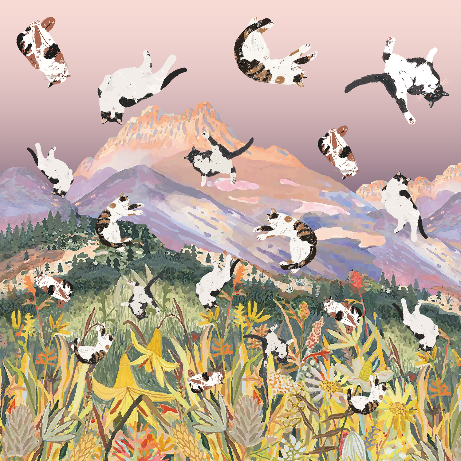 "Breathe in, breathe out" Yogis told her cat. They live a beautiful place call Tatra Mountains .